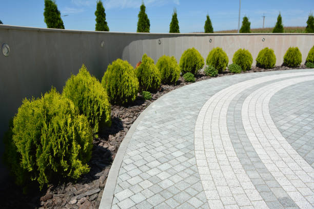 Best Commercial Driveway Pavers  in Lakeview, CA