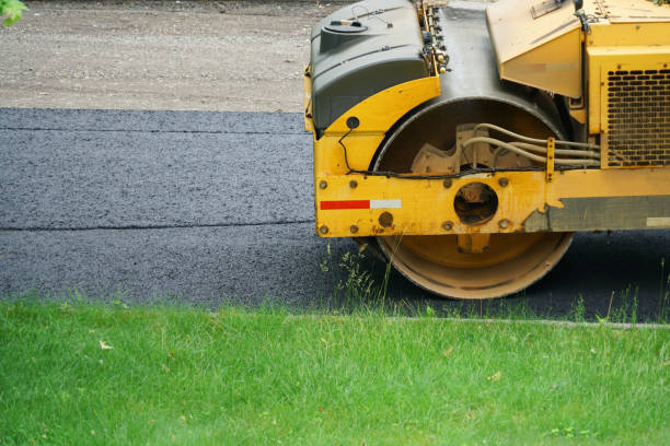 Best Professional Driveway Pavers  in Lakeview, CA